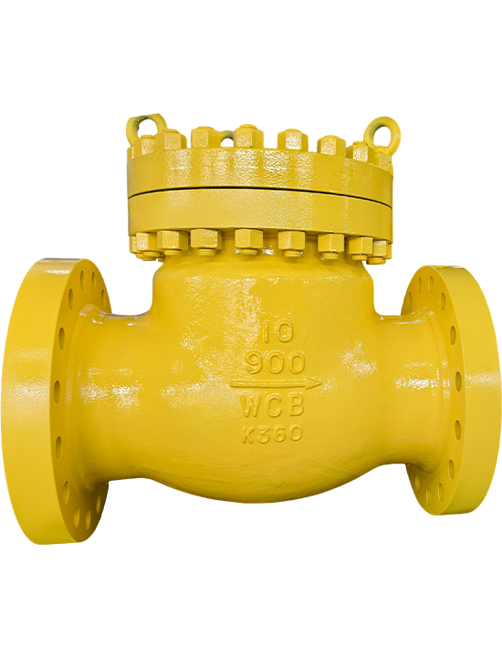 Check Valve