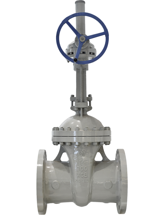 Gate Valve