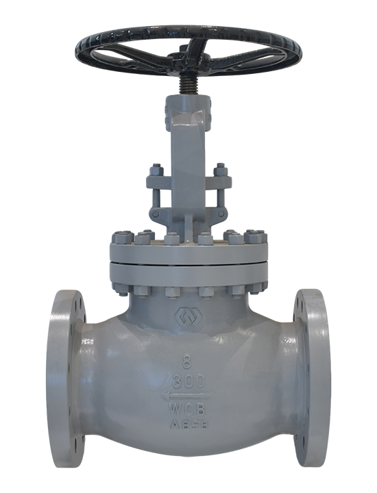 Globe Valve