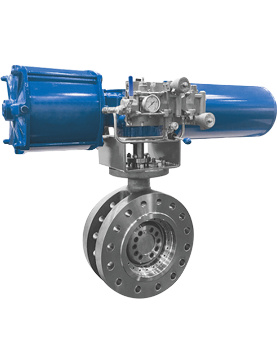 Butterfly Valve