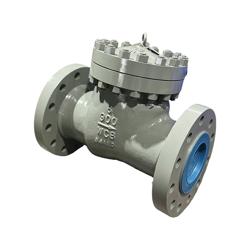 API Standard Check Valve
